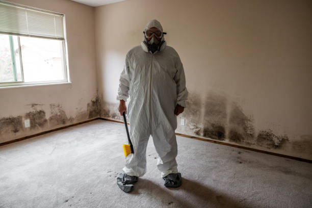 Professional Mold Removal in Sunrise, FL